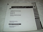 POMIĘDZY METAFORĄ A ABSTRAKCJĄ - GROCHOCKI