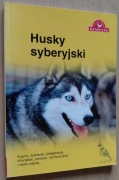 Husky syberyjski Kupno, żywienie, pielęgnacja, charakter, zdrowie