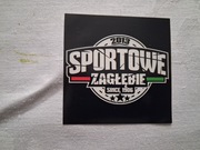 Vlepki Zagłębie Sosnowiec Sportowe