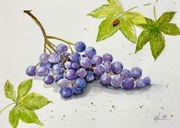 Winogrona i biedronka Original Akwarela A4