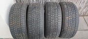 Gislaved EUROFROST 6 215/55 R17 98 V XL