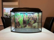 Akwarium profilowane 72l 