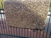 Dywan typu "trawa" , mało używany - długi włos.