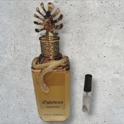 Paris Corner Ophidian Mango Bliss 5ml