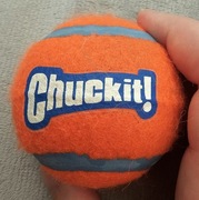 chuckit! piłka pomarańczowa, rozmiar M, używana