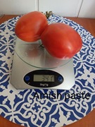 Pomidor  Amish paste   kolekcjonerski niezawodny