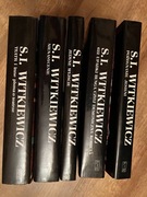 Witkiewicz S. I., Teatr i inne opowiadania o teatrze,