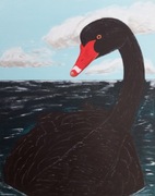 Obraz - Czarny łabędź