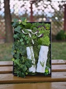 Obraz Kompozycja Mech Dekoracja Długowieczne Dom Prezent