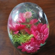 Sprzedam piękną kulę wodną.