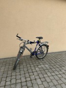 Rower Bros link sport