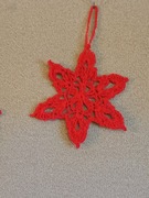 Świąteczne gwiazdki 