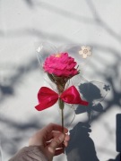 Róża z krepiny włoskiej, z lizakiem