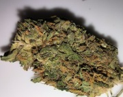 100g Super Skunk naturalny susz CBD 12.41% PROMOCJA WYPRZEDAŻ okazja 