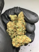 Susz CBD White Whidow 1kg | CBD PREMIUM (zdjęcia) 1000