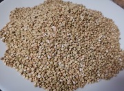 Kasza gryczana ekologiczna palona 5kg