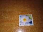 Znaczek pocztowy Kwiaty lilia wodna 2015 Polska polskie kwiaty