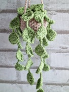 Epipremnum na szydełku – dekoracja ścienna / boho / rękodzieło