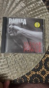 Pantera - Vulgar display of player CD