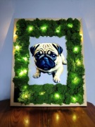 Obraz mech chrobotek mops pug