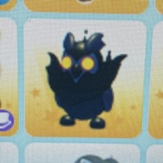 Nightmare owl i inne adopt me roblox