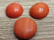 Korale szlachetne kabaszon