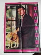 Plakat Patrick Swayze 