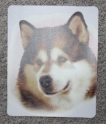 Podkładka pod myszkę Alaskan malamute