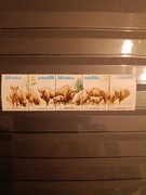 Rok 1981. Fi 2608-2612 Restytucja żubra pasek 