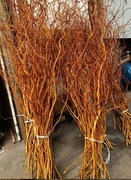 gałązki do dekoracji do wazonu do wianków stroików