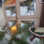 Szamański Zestaw Prezentowy nr 2 GERANIUM - sól,zioła,kadzidło,świece