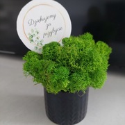 Podziekowanie komunijne 