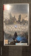 Hogwarts Legacy switch