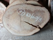 Plaster Drewna BUK 83/60/9 cm Blat Stolik Żywica DIY Wysuszony