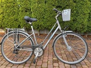 Rower Giant Expression 