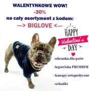 Mega paka bluzy dla psa 30szt aksamitne 