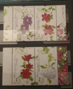 Fi: 4981-4984** Polskie odmiany powojników parki 2019