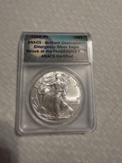 Srebrny Dollar Amerykański 1 uncja 2020