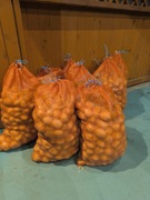 Sprzedam ziemniaki belana  ekologiczne