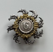 Odznaka Bertowa 6 Baon Strzelców Karpackich