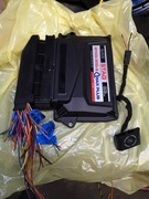 Stag 300-6 Qmax Plus OBD