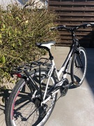 Rower damski BOTTECCHIA 251 Lady 