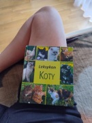Książka o gatunkach kotów dla osób które szukają odpowiedniej rasy