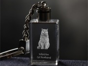 Selkirk Rex Cat brelok sześcienny ŚWIECĄCY KOT