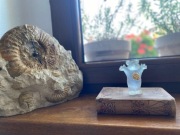 Figurka Misia Teddy z plastiku/akrylu Włochy
