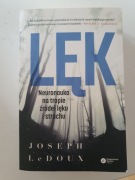 Lęk neuronauka na tropie źródeł lęku i strachu