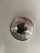 Srebrna moneta Kanadyjski Liść Klonowy 1 uncja Srebra 2020