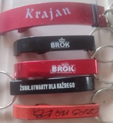 Zestaw rekinków żubr brok eb zapraszam 