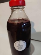 Syrop z tarniny 330 ml