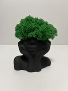 Doniczka betonowa z chrobotkiem